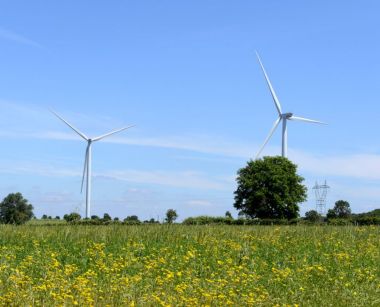 Image de l'opération 00164433