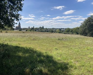 Image de l'opération 00227694web