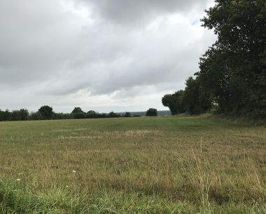 Image de l'opération IMG_6041-web