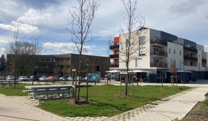 Image de l'actualite