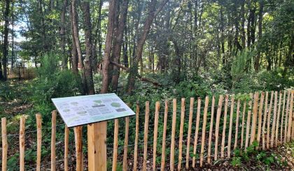 Image de l'actualite