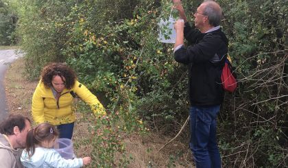 Image de l'actualite