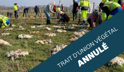Image de l'actualite