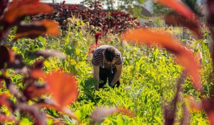 Image de l'actualite
