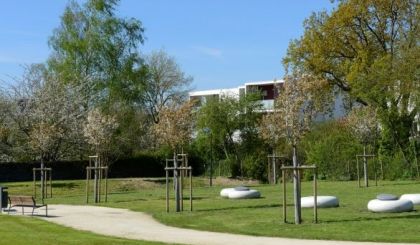 Image de l'actualite