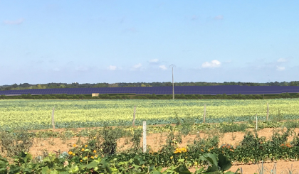 Image de l'actualite