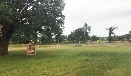 Image de l'actualite