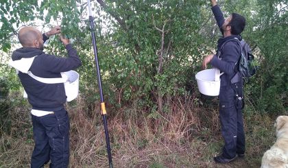 Image de l'actualite