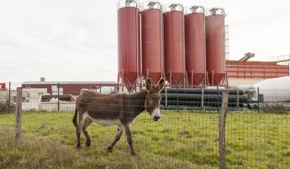 Image de l'actualite
