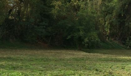 Image de l'actualite