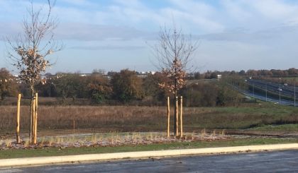 Image de l'actualite