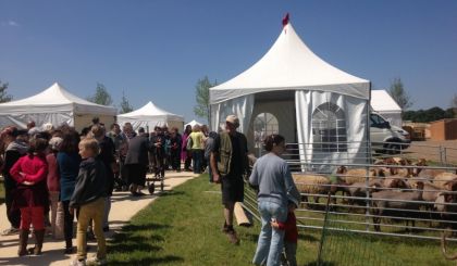 Image de l'actualite