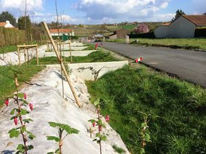 Image de l'actualite