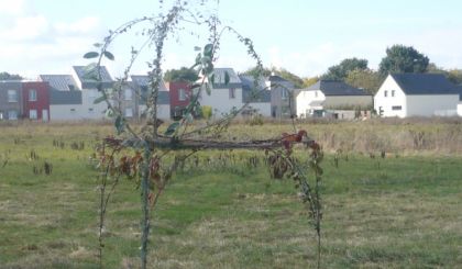 Image de l'actualite