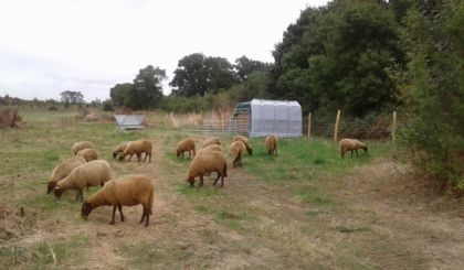 Image de l'actualite