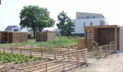 Image de l'actualite