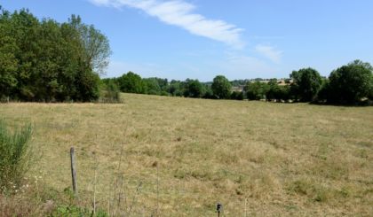 Image de l'actualite