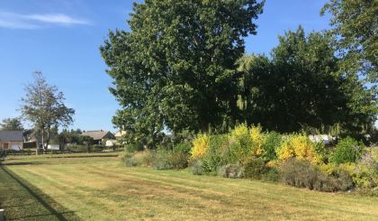 Image de l'opération 00166182