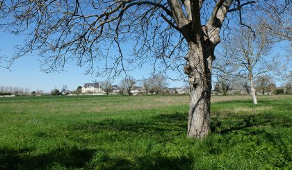 Image de l'opération 00202559 web