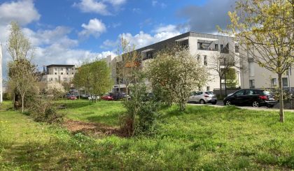 Image de l'opération 00203963