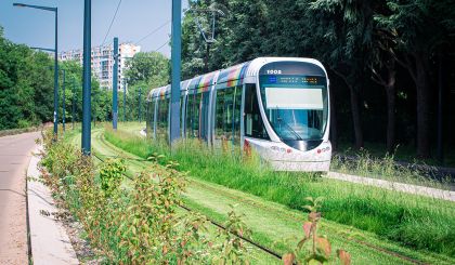 Image de l'opération 00210230_web