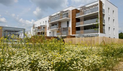 Image de l'opération 00229741