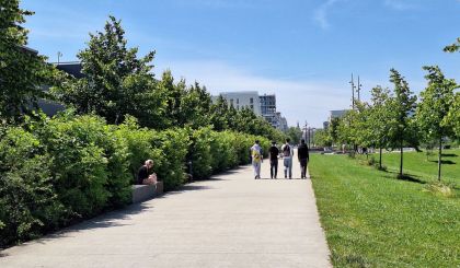 Image de l'opération 00299547