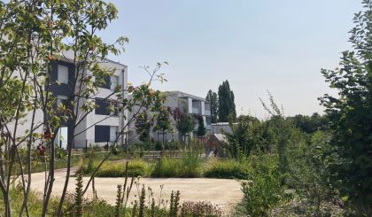 Image de l'opération 00312328(1)