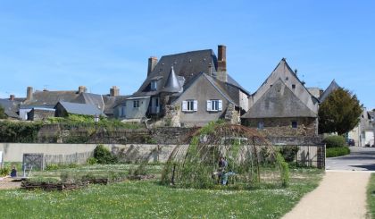 Image de l'opération 00392397