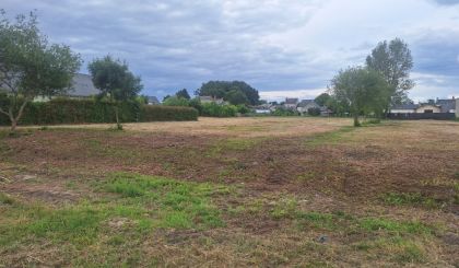 Image de l'opération 00403793