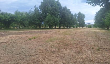 Image de l'opération 00403798