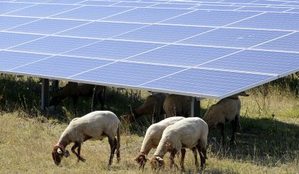 Image de l'opération 2020-06-01 ALTER La ferme voltaique 28 web