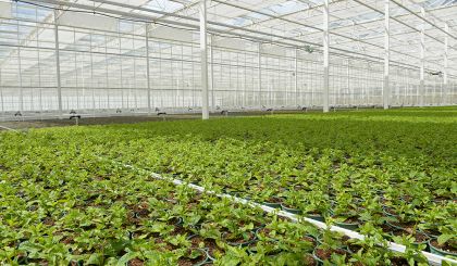 Image de l'opération 2021-06-29 ALTER BioPlants Angers 49 web