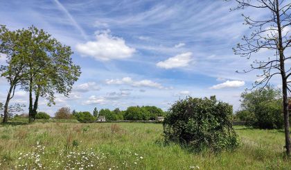 Image de l'opération 2021_Photo diag champs - (c) MAGNUM_web