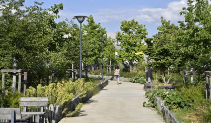 Image de l'opération ALTER2022_040