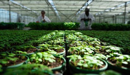 Image de l'opération DSC01086 web