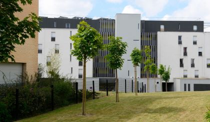 Image de l'opération Grand Pigeon 1