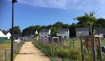 Image de l'opération IMG_1665