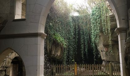 Image de l'opération IMG_2666 (1)