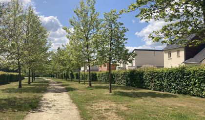 Image de l'opération IMG_4977