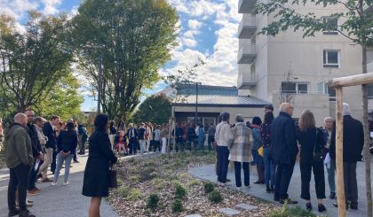 Image de l'opération IMG_9478