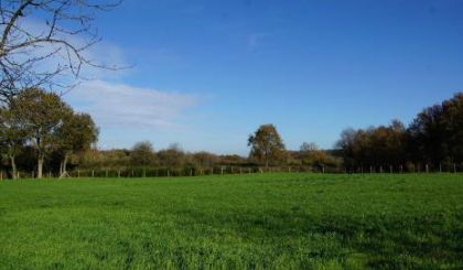 Image de l'opération Insertion paysagere Chazé-Henry 4