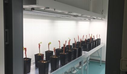 Image de l'opération internet