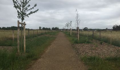 Image de l'opération internet 2