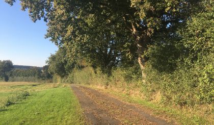 Image de l'opération internet 4