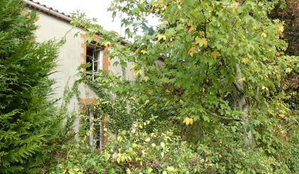 Image de l'opération P1000687 web