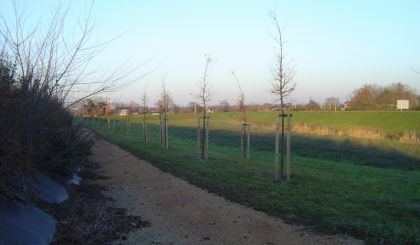 Image de l'opération photo.426