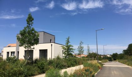 Image de l'opération photozoom.1155