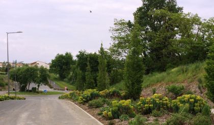 Image de l'opération photozoom.1156