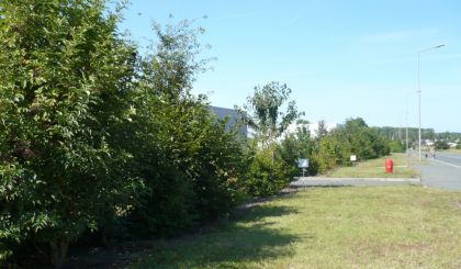 Image de l'opération photozoom.347